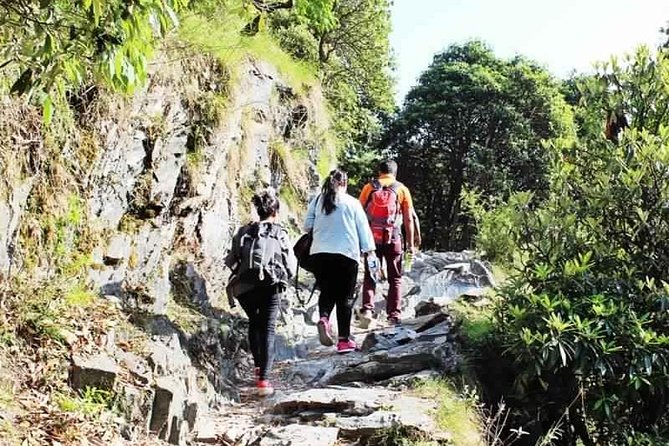 Hiking Day Tour to Triund from Dharamshala - Five things to know before you go