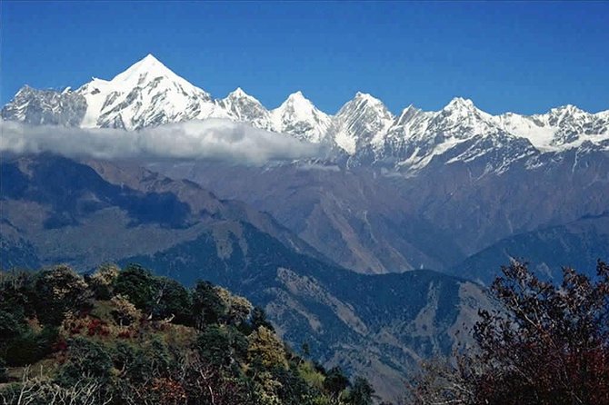 Hiking Day Tour to Triund from Dharamshala - Arriving at Triund and its wide-open views