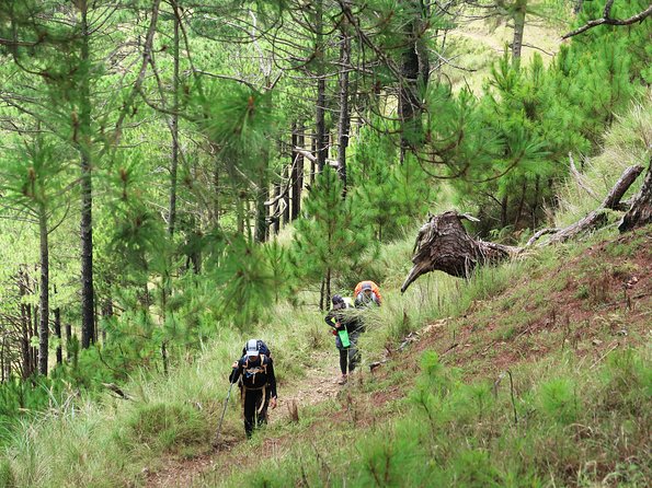 Hiking Day Tour to Triund from Dharamshala - What the guides add to the day