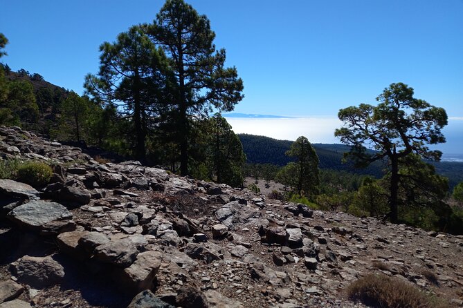 Hiking in Tenerife's Great Outdoors - Why a guided walk makes sense in Tenerife