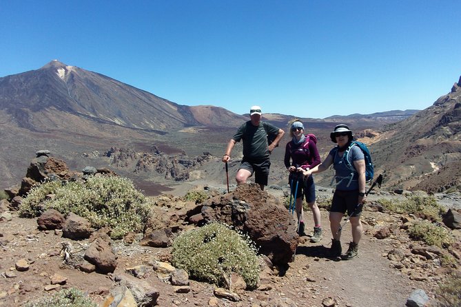 Hiking in Tenerife's Great Outdoors - A five-hour route with real climbing