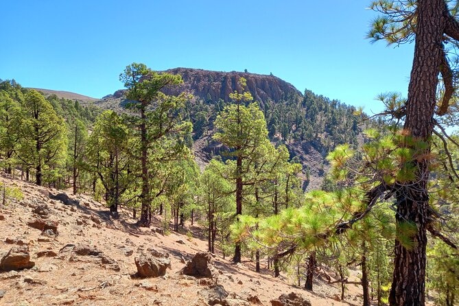 Hiking in Tenerife's Great Outdoors - What the transport adds