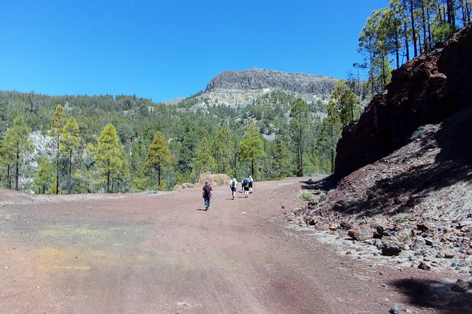 Hiking in Tenerife's Great Outdoors - Is $72.59 a fair price?