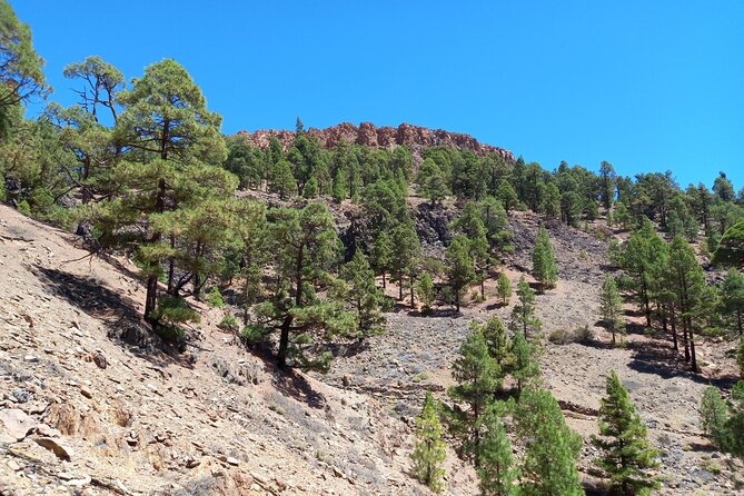 Hiking in Tenerife's Great Outdoors - Who should book this hike?