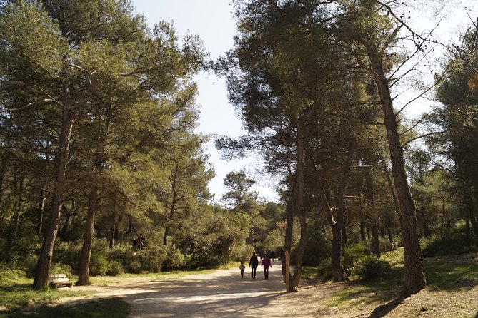Hiking in the Calanques National park from Marseille - The guides who add the most value