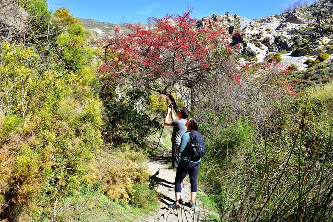 Hiking in the Canyon of the Monachil Cubs in Granada - Suspension bridges, tunnels, and narrow passages
