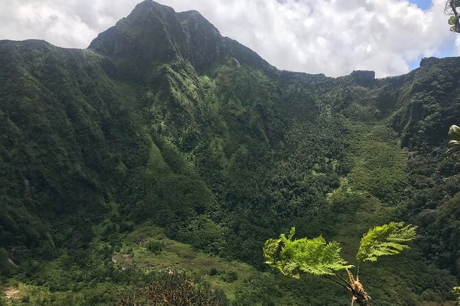 Hiking Mount Liamuiga Volcano in St Kitts - Cloud forest, heat, and the climb toward the crater