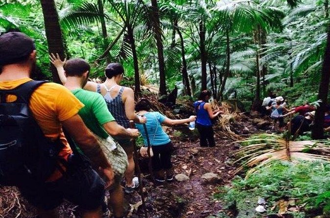 Hiking Mount Liamuiga Volcano in St Kitts - Rain changes the whole experience
