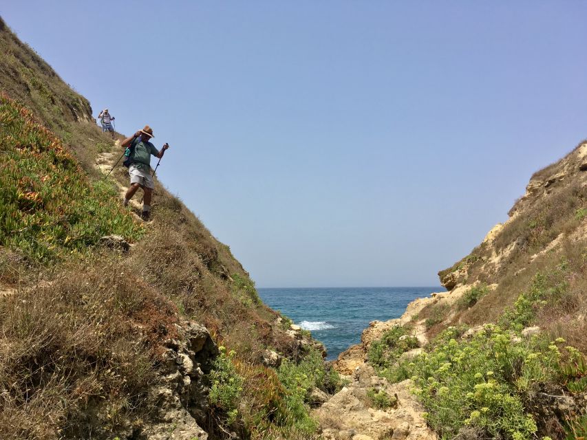 Hiking Tour Along the West Coastline - Key points to know before you book