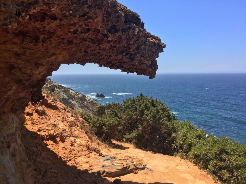Hiking Tour Along the West Coastline - The flatter plateau and local plants