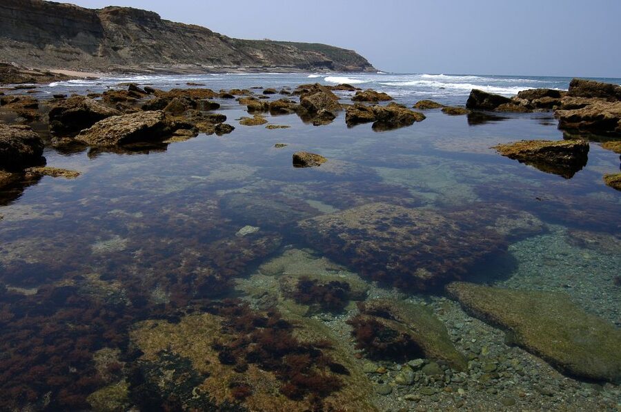Hiking Tour Along the West Coastline - How hard is the 14-kilometre route?