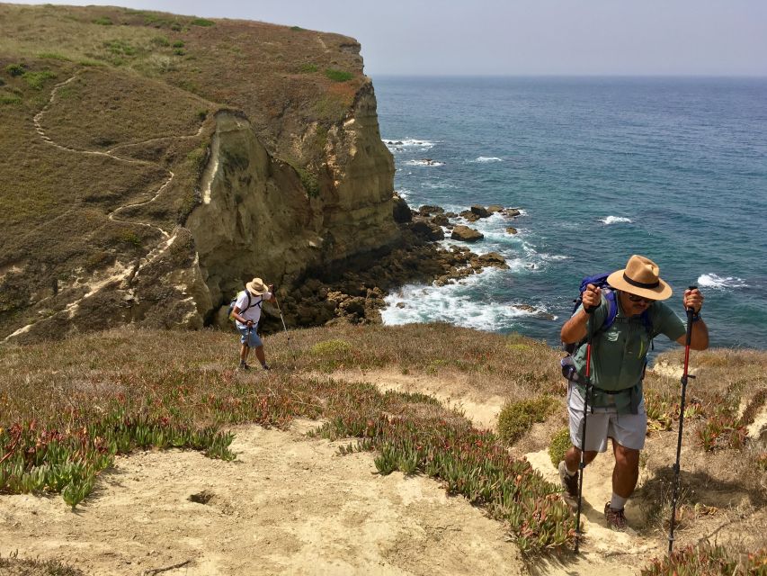 Hiking Tour Along the West Coastline - The value of $118 per person