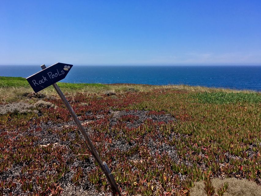 Hiking Tour Along the West Coastline - From Lisbon pickup to Praia das Bicas