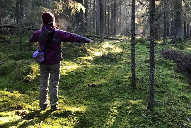 Hiking tour in Nuuksio National Park with meal and snacks - Key details that shape the experience
