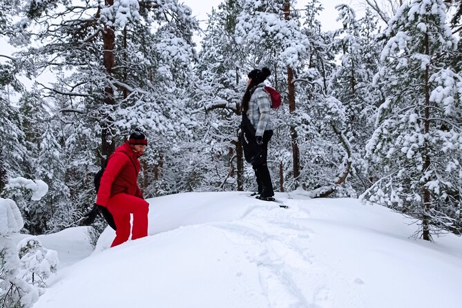 Hiking tour in Nuuksio National Park with meal and snacks - Three hours among lakes, bogs, and taiga forest