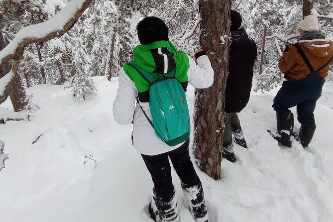 Hiking tour in Nuuksio National Park with meal and snacks - Glögi, berry tea, and a forest lunch