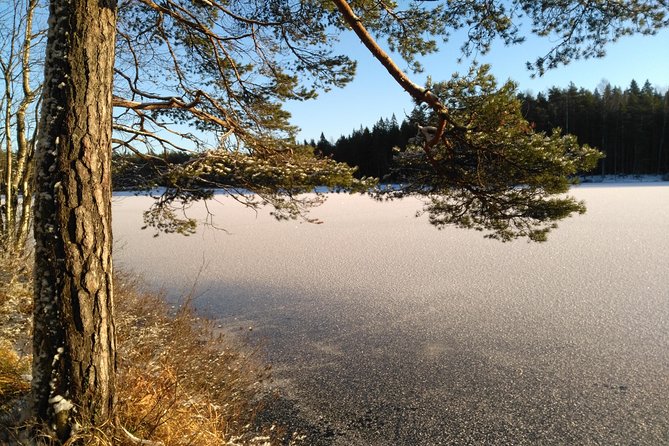 Hiking tour in Nuuksio National Park with meal and snacks - How difficult is the hike?