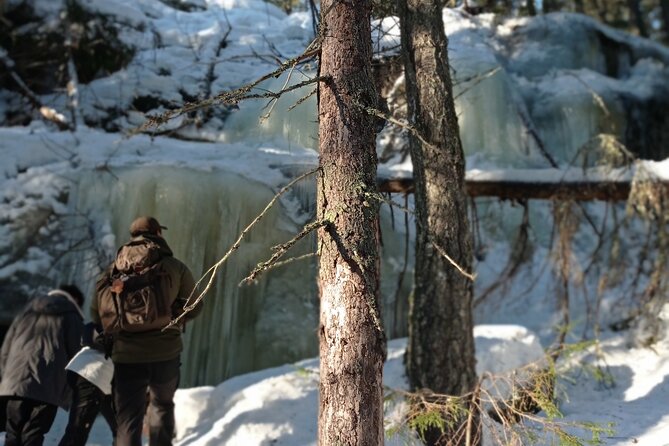 Hiking tour in Nuuksio National Park with meal and snacks - Booking, cancellation, and useful planning notes