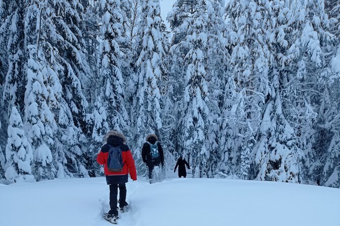 Hiking tour in Nuuksio National Park with meal and snacks - David’s guiding makes the difference