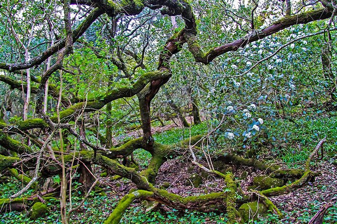 Hiking tour to the highest point of Arrábida mountain - A medium to high difficulty climb to Formosinho