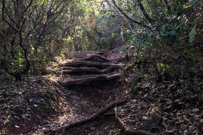 Hiking tour to the highest point of Arrábida mountain - Who should book this Arrábida hike?