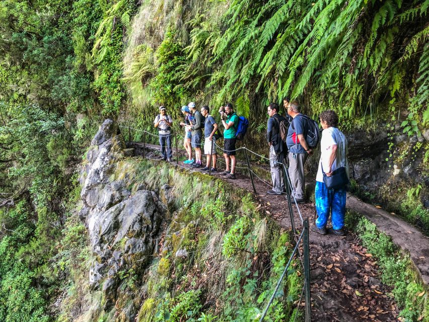 Hiking Trip with a Local - Key points at a glance