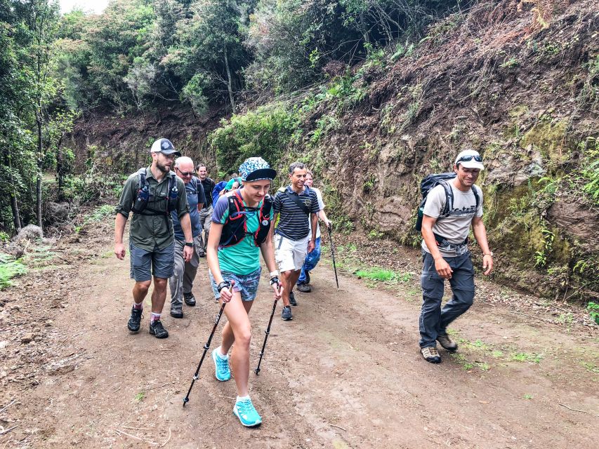 Hiking Trip with a Local - Why a local guide helps on Madeira’s trails