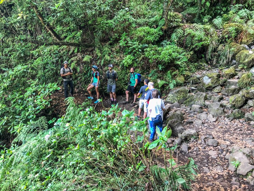 Hiking Trip with a Local - Is $76 a fair price?