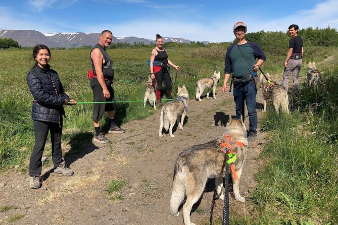 Hiking with Husky in Akureyri (private) - Woodland Trails, Shoreline Air, and Icelandic Horses