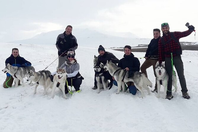Hiking with Husky in Akureyri (private) - Coffee, Conversation, and More Dog Time