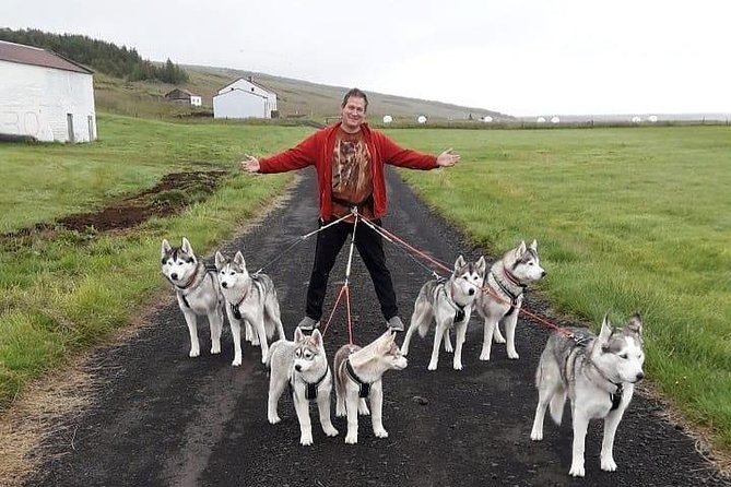 Hiking with Husky in Akureyri (private) - Who Will Enjoy This Husky Walk Most