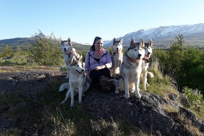 Hiking with Husky in Akureyri (private) - Should You Book Hiking with Husky in Akureyri?