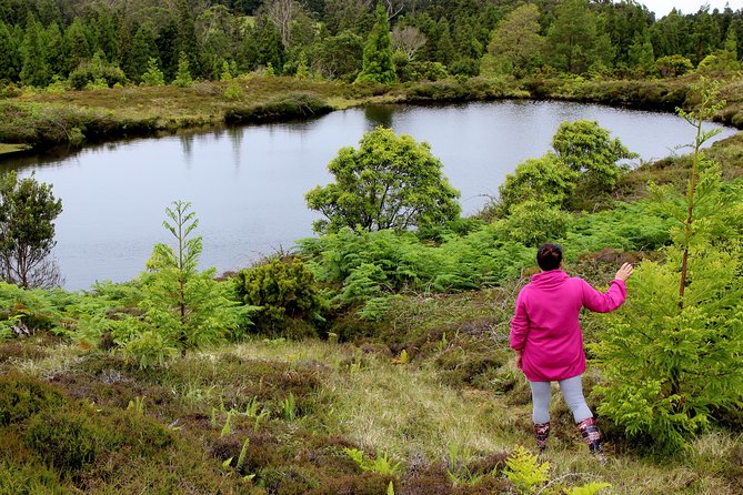 HIKING XL (Full Day Private Tour) - Volcanic forests, lava rock, and coastal edges