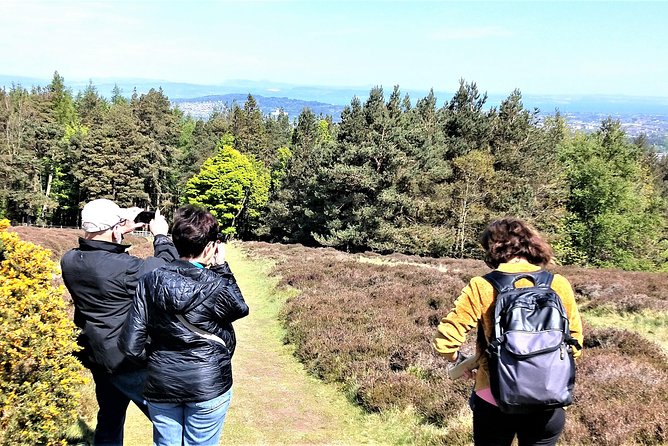 Hill & Nature Hike - Discover Real Edinburgh With a Local Expert - Highland cows, sheep, and open views