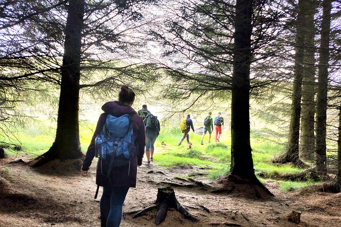 Hill & Nature Hike - Discover Real Edinburgh With a Local Expert - Rishi’s guiding style adds real value