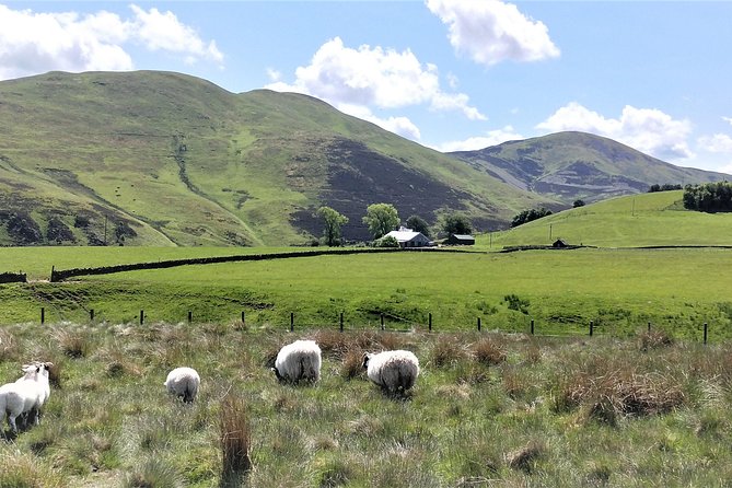 Hill & Nature Hike - Discover Real Edinburgh With a Local Expert - Snacks, water, and what to pack