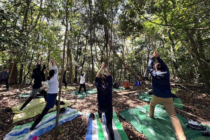 Hiroshima Local guided Hiking Tour&Open-air Tea Ceremony - Why Futaba Mountain adds something different to Hiroshima