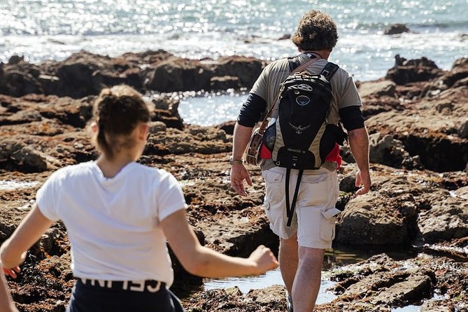 Howth Safari Hiking Tour - Doldrum Beach and the sea caves