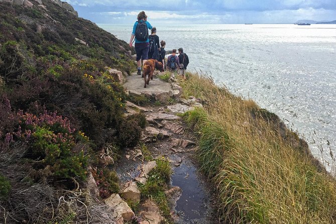 Howth Safari Hiking Tour - Reaching Howth Summit