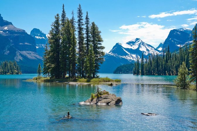 Jasper Wildlife and Sightseeing Tour with Maligne Lake Hike - Quick take: why this Jasper tour is worth considering
