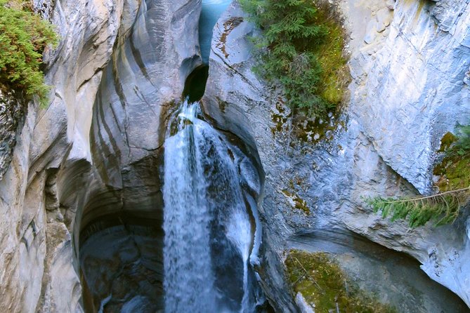 Jasper Wildlife and Sightseeing Tour with Maligne Lake Hike - Maligne Canyon: an important change to the usual route