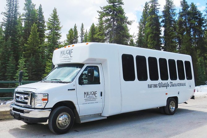 Jasper Wildlife and Sightseeing Tour with Maligne Lake Hike - The ride into wildlife country