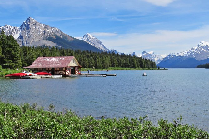 Jasper Wildlife and Sightseeing Tour with Maligne Lake Hike - Is $81.90 good value?