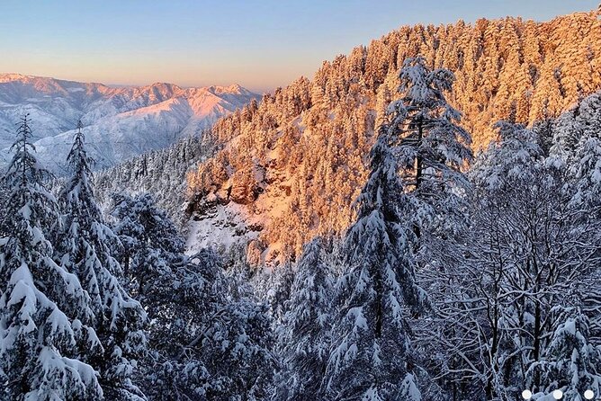 Kaflani Day Hike - Mussoorie - Starting near Antara Palace in Landour