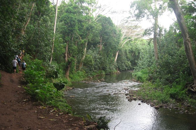 Kauai Adventure: Kayak & Hike to Secret Falls with Expert Guide - Paddling into the Wailua River Valley
