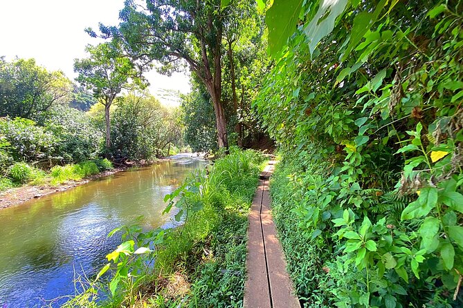 Kauai Adventure: Kayak & Hike to Secret Falls with Expert Guide - What the guides add to the experience