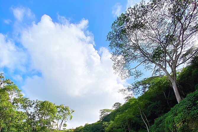 Kauai Adventure: Kayak & Hike to Secret Falls with Expert Guide - Who should book this Kauai adventure?