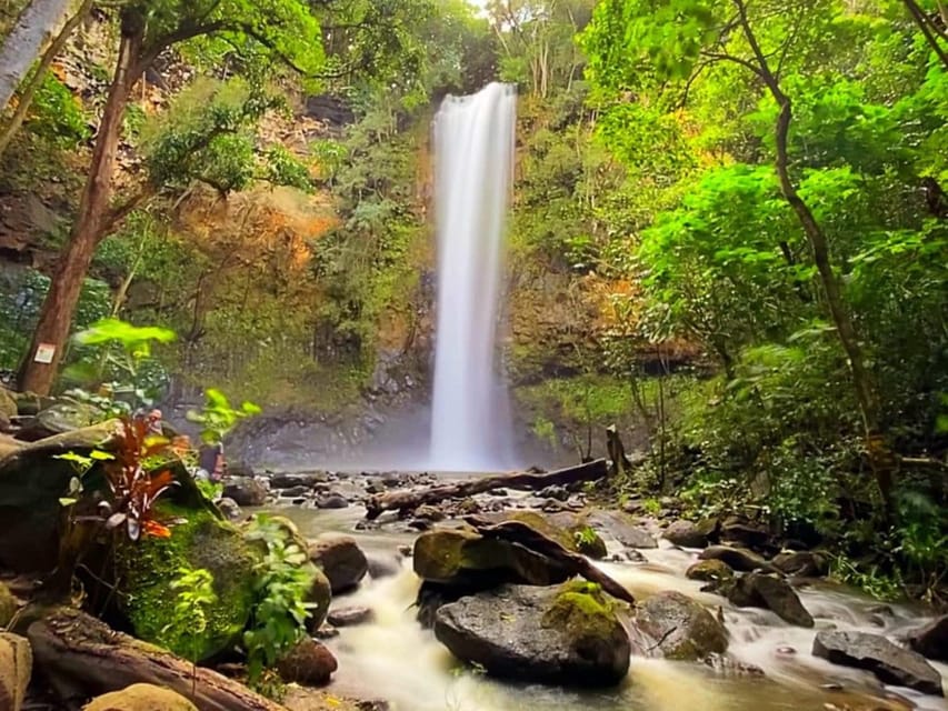 Kauai: Guided Kayak and Hike to Secret Falls - When to choose an early or later departure