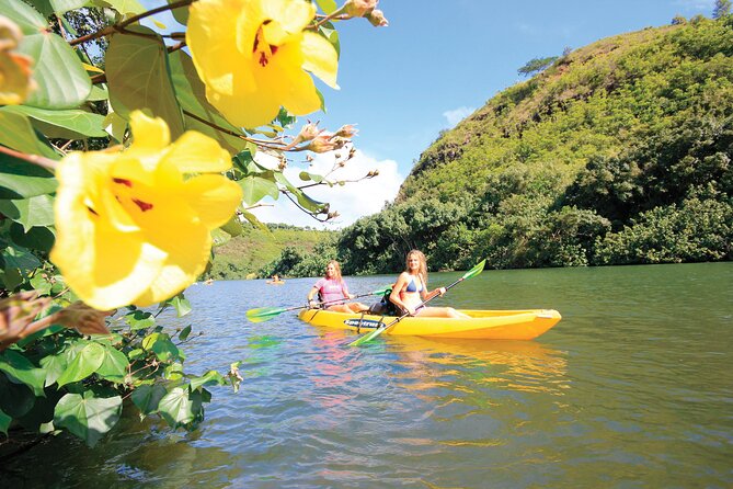 Kauai: Secret Falls Kayak and Hike - Reaching Uluwehi Falls, also called Secret Falls