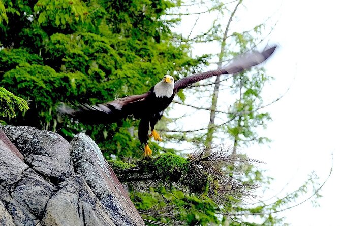 Ketchikan Electric Bike and Rain Forest Hike Ecotour - Walking into the Tongass rain forest